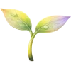 🌱