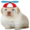 😢