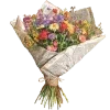 𝐬𝐩𝐫𝐢𝐧𝐠 𝐝𝐚𝐲﹝ ﹞ — Telegram emoji pack