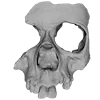 💀