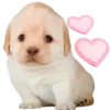 🥰