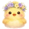 🐥