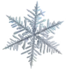 ❄️