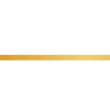 🔸