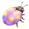 🐞