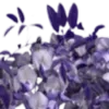 💜