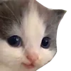 🤭