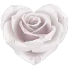 🌹