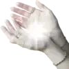🦢
