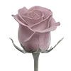 🌹