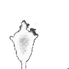 ⭐