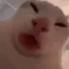 👅