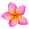 🌸