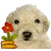 🐕