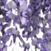 💜