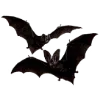 🦇
