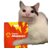 😾