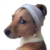 🐶