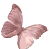🦋