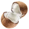 🥥