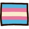 🏳️‍⚧️