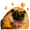 🐕