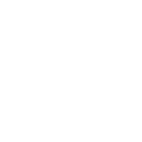 👤