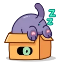 💤