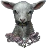 🐑
