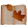 🍁