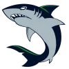 🦈