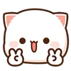 ✌