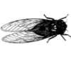 👁️