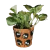 🪴