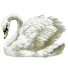 🦢