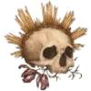 💀