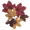 🍁