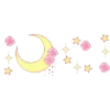 🌙