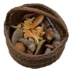 🍄