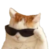 😼