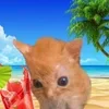 🌴