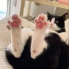 😺