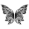 🦋