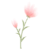 🌸
