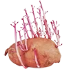 🥔