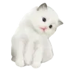 😿