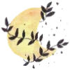 🌙