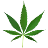 🍁
