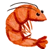 🦐