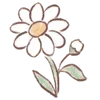 🌼